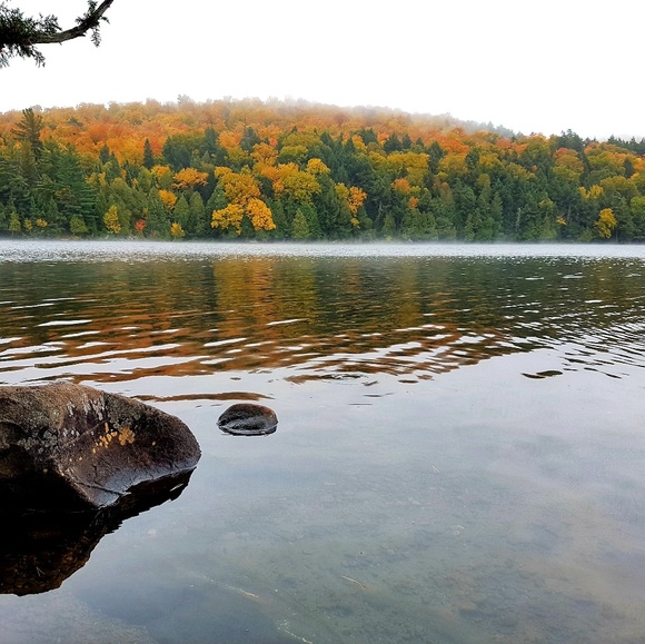 Meet your Posher, Amber - Picture 1 of 1